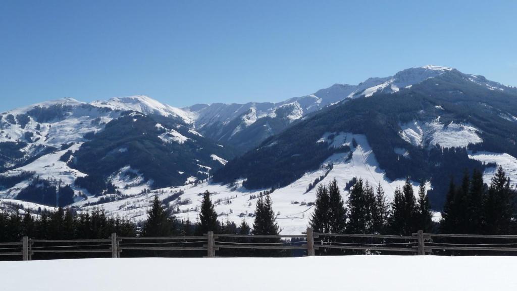 Haus Rieder Georg Apartment Maria Alm am Steinernen Meer Luaran gambar